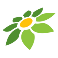 ANIME SHIELD